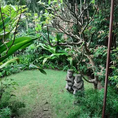 Creating peaceful nooks is a key part of my landscape philosophy. This small, secluded lawn area is surrounded by dense tropical foliage and features charming stone statues, showing how I use decor to enhance the natural beauty of a garden.