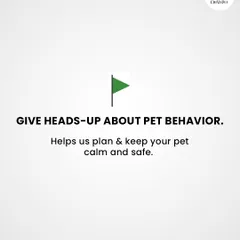 Giving me a heads-up about your pet's behavior is another big green flag. It helps me plan ahead to keep them calm, safe, and happy.