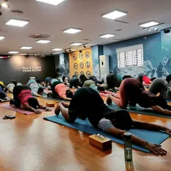 The entire class moving into Anahatasana, or Melting Heart Pose. This is a beautiful shoulder and upper back opener that encourages surrender and release.