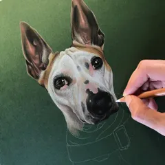 Here I am adding details to the fur on a color pencil dog portrait. I use a white pencil to add highlights and define the texture, bringing the drawing to life against the dark green paper.