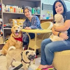 This image captures the essence of our community. A happy client who left her Golden Retriever with us for two weeks is enjoying a coffee while her dog socializes with other guests, including a Pug and a Shih Tzu.