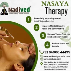Nasaya therapy is a powerful Panchakarma treatment where medicated oil is administered through the nasal passage. It is highly effective for clearing toxins from the head and neck, improving mental clarity, and reducing stress and anxiety.