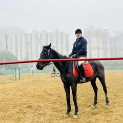 A rider pauses in the arena, with training obstacles and the city buildings in the distance. This demonstrates the authentic equestrian environment we provide.