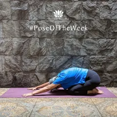 Balasana, or Child's Pose, is one of my favorite poses for rest. It gently stretches the spine, calms the mind, and allows us to turn inward and let go.