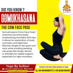 Did you know? Gomukhasana stretches the entire body, emphasizing shoulders and hips, and allows for exploration of body symmetry.