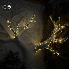 Fairy lights wrapped around tree branches bring a touch of sparkle and magic to the venue's existing decor, showing how I can enhance a space for a special occasion.