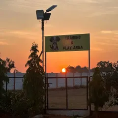 This is the view that greets us every morning at my pet resort near Nandi Hills. A calm, beautiful, and secure space is essential for effective training and a happy dog. This is more than a training area, it's a retreat.