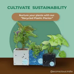Cultivate sustainability in your own home. Our recycled plastic planters are proof that you can care for your plants and the planet at the same time. Each one is a small step towards a greener future.