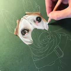 This is an early stage of a color pencil portrait. I begin with a light outline sketch and then start rendering the most detailed part, the eyes, to ensure I capture the soul of the pet right from the start.