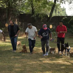 More fun from our dog party. We create events where the whole family, furry members included, can come together and have a great time.