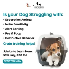 This is a poster for one of my popular online workshops on crate training. I focus on how a crate can help with common problems like separation anxiety, noise sensitivity, and destructive behavior, turning it into a secure space for your dog.