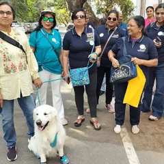 I was honored to speak at a Rotary Bangalore event about how dogs can be a part of therapy and mental health initiatives. My dog Coco was a perfect gentleman, charming the crowd and demonstrating the calm temperament of a great therapy dog.