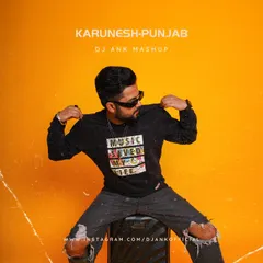 The official cover for my mashup of Karunesh's "Punjab". I blended this folk classic with future house elements to create a unique electronic track.