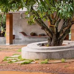 A detail of the 'katte' and the built-in seating, designed to flow around the base of a mango tree. This seamless integration of built form and nature is a core principle of my work.