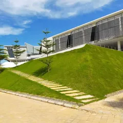 Green mounds, or earth berms, at the DRL Leadership Academy in Andhra Pradesh. These landscape features tuck in classrooms on the ground floor, providing natural insulation and creating informal seating areas.