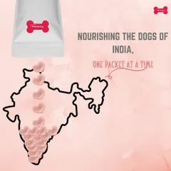 My goal is to nourish the dogs of India, one packet at a time. This includes our street dogs, and I'm so grateful for the love our Nutri Pack Stars treats have received from people feeding their stray fur buddies.