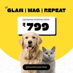 Glam, Wag, Repeat. Our grooming services for both dogs and cats start from just ₹799. It's an affordable way to keep your pet looking and feeling like a star.