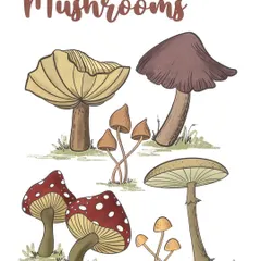 This is a reference sheet for drawing different types of mushrooms, created on Procreate. My "Draw with me" series includes video tutorials for drawings like these, which you can follow on your tablet or on paper.