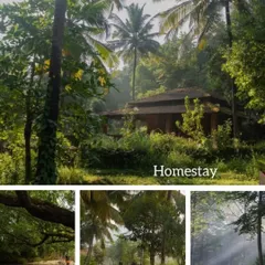 The beautiful, natural surroundings of our homestay, complete with streams and areca nut plantations.