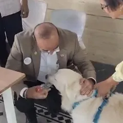 I was honored to speak at a Rotary Bangalore event about how dogs can be a part of therapy and mental health initiatives. My dog Coco was a perfect gentleman, charming the crowd and demonstrating the calm temperament of a great therapy dog.