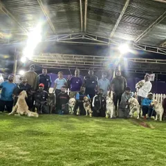 Another group shot of our victorious team at the Ooty obedience trials. The lineup of well-behaved, happy dogs is a result of our positive reinforcement training methods.