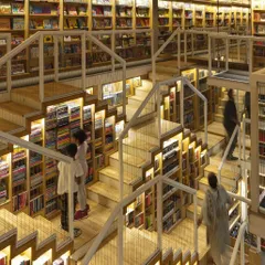 The Story Project bookstore in Kolkata reimagines how visitors interact with a retail space. Inspired by Indian stepwells, the multi-level design with its suspended walkways turns a compact footprint into an adventurous journey of discovery.