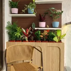 Another view of the no fuss green balcony we designed. The setup provides a perfect green backdrop for a morning cup of tea. Our goal is to create functional and aesthetic spaces where you can relax and connect with nature, even in a compact urban environment.