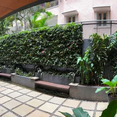 Here's a look at a completed green wall in a residential project. It serves as a beautiful, living backdrop for the outdoor seating area, providing both privacy and a sense of tranquility.