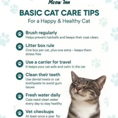 Here are some basic cat care tips for a happy and healthy cat. Following these simple rules for grooming, vet visits, and litter boxes makes a world of difference.