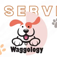 This graphic represents the core of Waggology. My goal is to bridge the gap between convenience and quality care, empowering families to build happier lives with their pets.