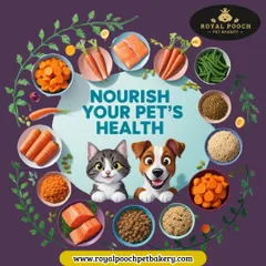 Nourish your pet's health from the inside out. This image showcases the variety of fresh, whole-food ingredients I use in my treats, like salmon, carrots, and green beans, to create balanced and nutritious food for both dogs and cats.