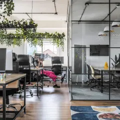 An open workstation area at LWYD, viewed through a glass-walled meeting room. This design choice promotes transparency and connection while still providing acoustic separation for focused discussions.