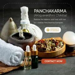 This image showcases the essential elements of a Panchakarma therapy session. You can see prepared herbal oils, a potli (herbal poultice), and dried herbs, all of which are customized for your specific treatment plan to facilitate a bio-cleanse.