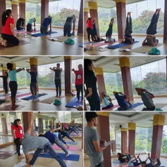 You will learn by doing. This collage shows the hands-on approach of my teacher training course, covering a wide range of asanas from foundational poses to advanced inversions like Sirsasana. We focus on practical application from day one.