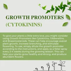 Growth promoters like Cytokinins can give your plants an extra boost. We use these as a foliar spray during the growing season to encourage healthy, strong plants and abundant flowers.