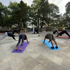 A group of yogis in Adho Mukha Svanasana (Downward-Facing Dog) on our retreat. The fresh mountain air and stunning views make every asana feel more expansive and rejuvenating.