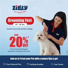 Our Grooming Fest is back with an exciting offer. Get a flat 20% discount on pet grooming packages, vaccination packages, and pet food to get your furry friend ready for the winter season.