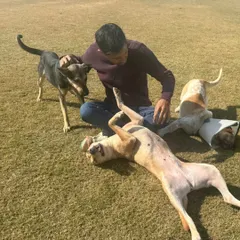There's always time for belly rubs. Our hands-on approach ensures every dog gets the personal attention they deserve.