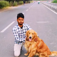 Taking a moment during a morning walk with a friendly Golden Retriever. I make sure every dog feels comfortable and safe with me, building a bond of trust from our very first walk.