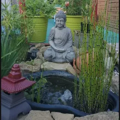 I incorporated a small, bubbling water feature into this Zen garden design. The combination of the Buddha statue, water, rocks, and plants creates a harmonious and peaceful corner.