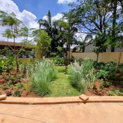 A newly planted garden path at Legacy Cirocco, lined with soft, feathery fountain grass. This design choice creates a natural, informal walkway that invites exploration and adds gentle movement to the landscape.