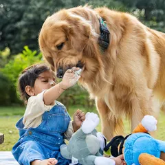A shared moment of sweetness during a first birthday cake smash. Little Aariv offers a bit of frosting to his best friend, Ollie the Golden Retriever. These are the candid, heartwarming interactions that turn a photoshoot into a cherished memory of growing up together.