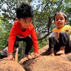 Look at the focus and determination. Our tree climbing activities are not just about physical play, they are about problem-solving and perseverance. I guide them, but the achievement is all theirs.