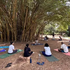 A moment of quiet connection with nature during a Hatha Yoga session under the bamboo trees. My retreats are designed to help you ground yourself and find stillness away from the city hustle.