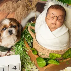 Your baby's first best friend often has four paws. We welcome pets into our studio because they are part of the family, and this bond is too precious not to capture.