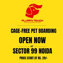Good news for Noida pet parents! Our cage-free pet boarding facility is now open in Sector 99. We offer safe and affordable stays for all small animals, starting at just Rs. 29.