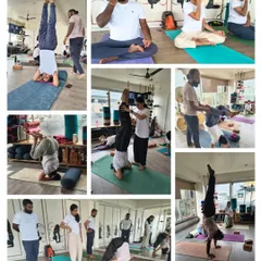 Transformation in progress. This collection of moments shows our students mastering inversions, practicing pranayama, and receiving direct guidance, embodying the holistic nature of our training.