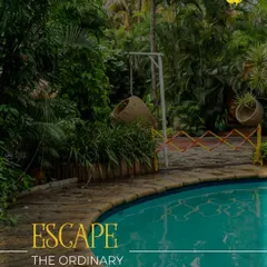 Escape the ordinary and dive into our tranquil pool, surrounded by lush tropical foliage. It’s the perfect spot to unwind and soak up the vacation vibes.