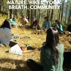 A community circle during a cacao immersion in the forest. These retreats are about creating a space for shared experience, connection, and collective healing.
