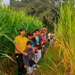 Follow the path through tall, swaying grasses on one of our nature walks. It's a chance to get up close with the local flora and fauna.
